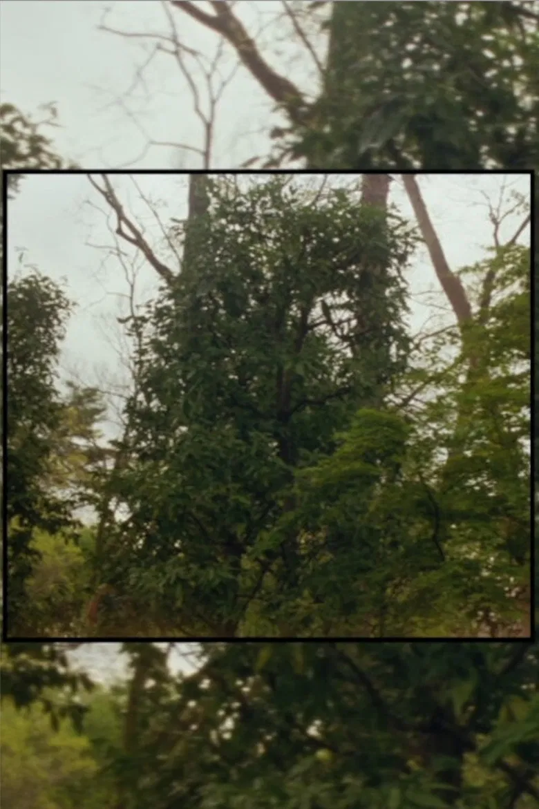 Available Light poster background