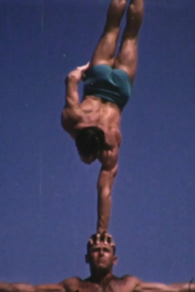 Mating Games poster background