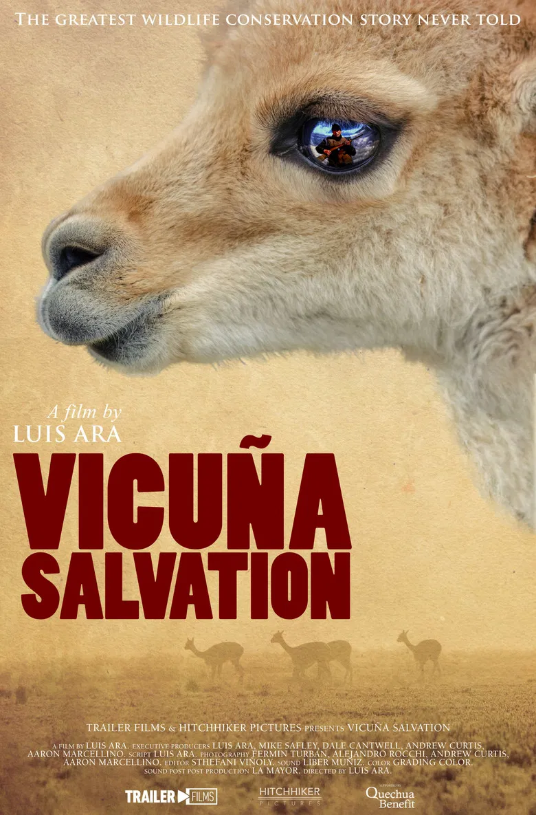 Vicuña Salvation poster background