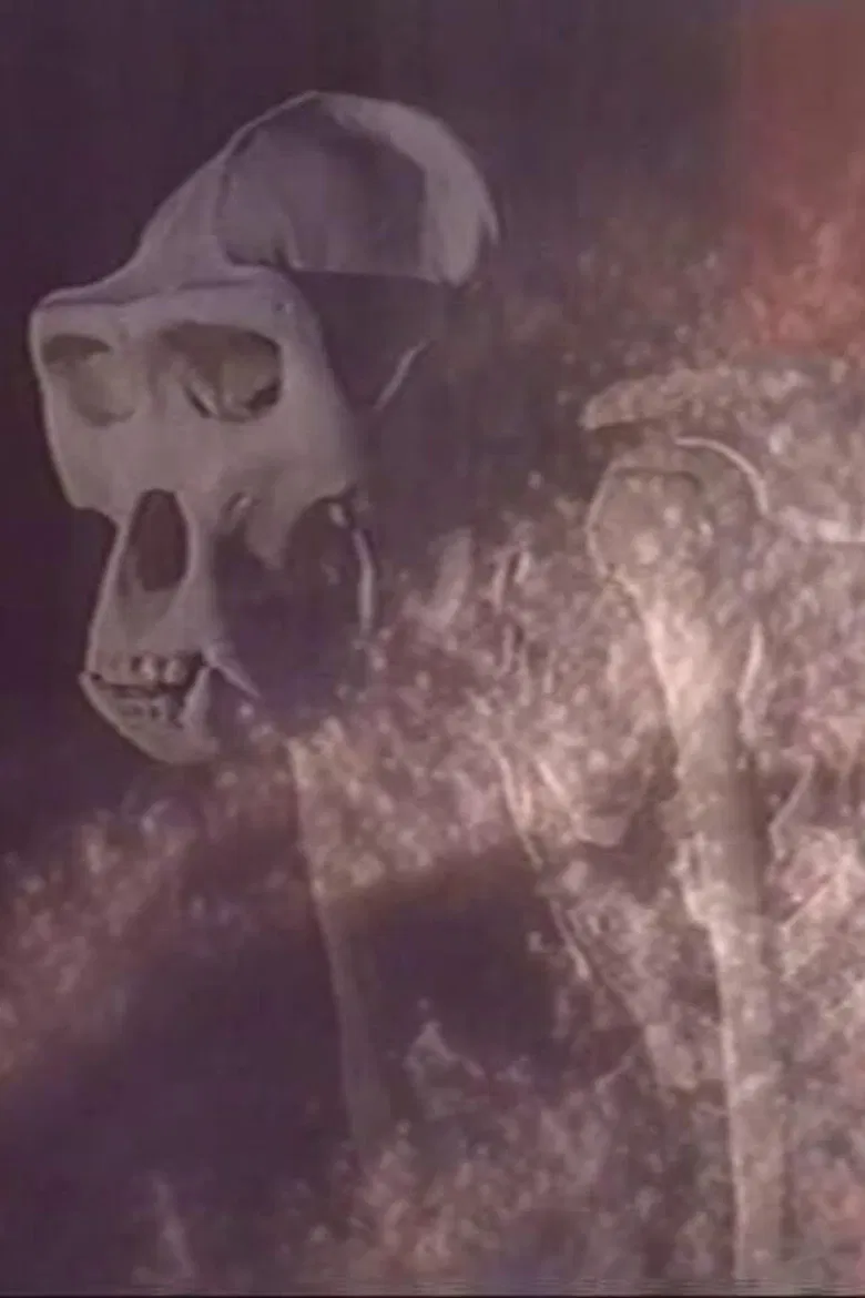 Esprits de Sel poster background