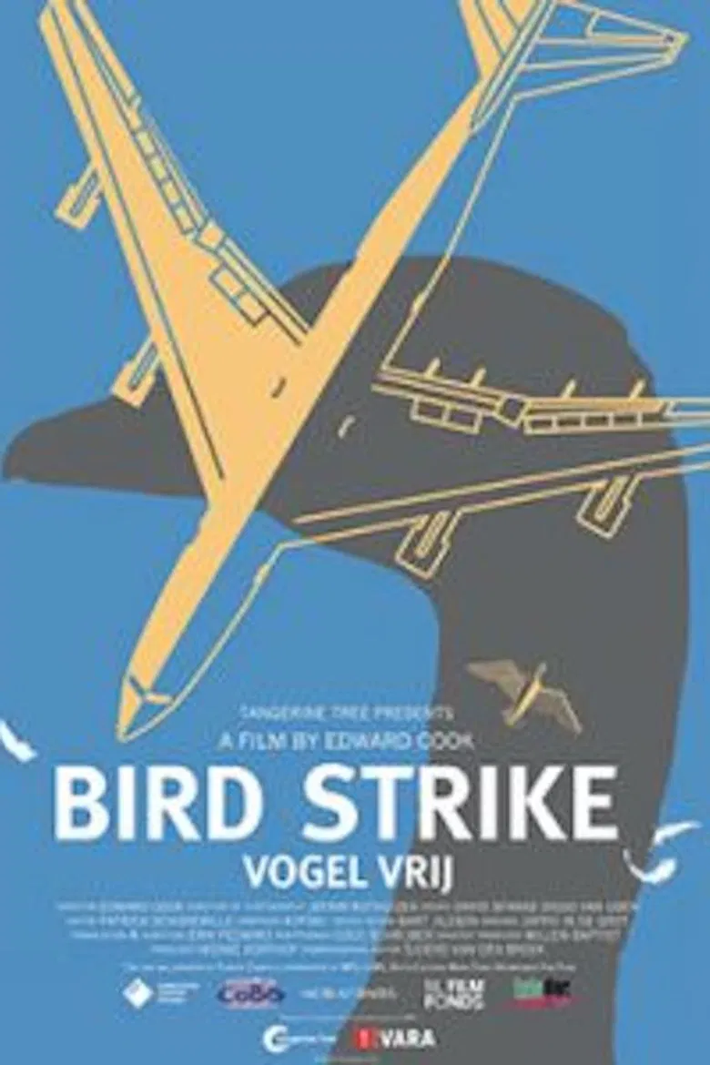 Bird Strike poster background
