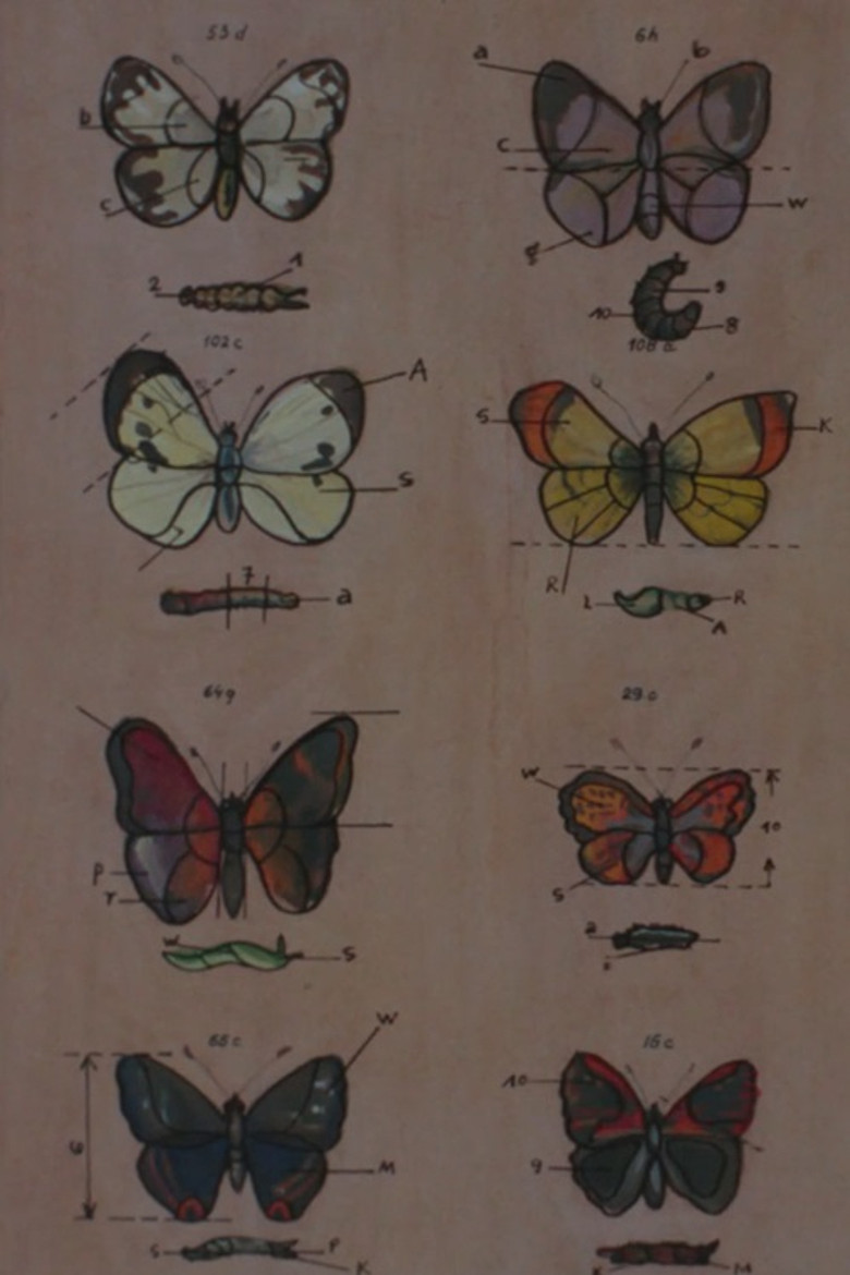 Lekcja anatomii poster background