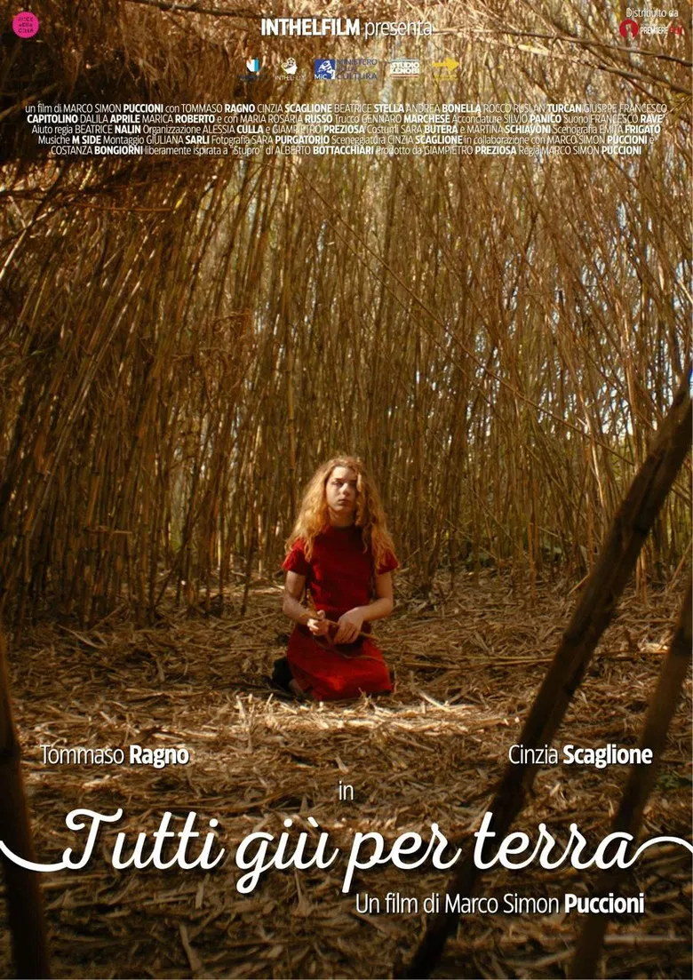 Tutti giù per terra poster background