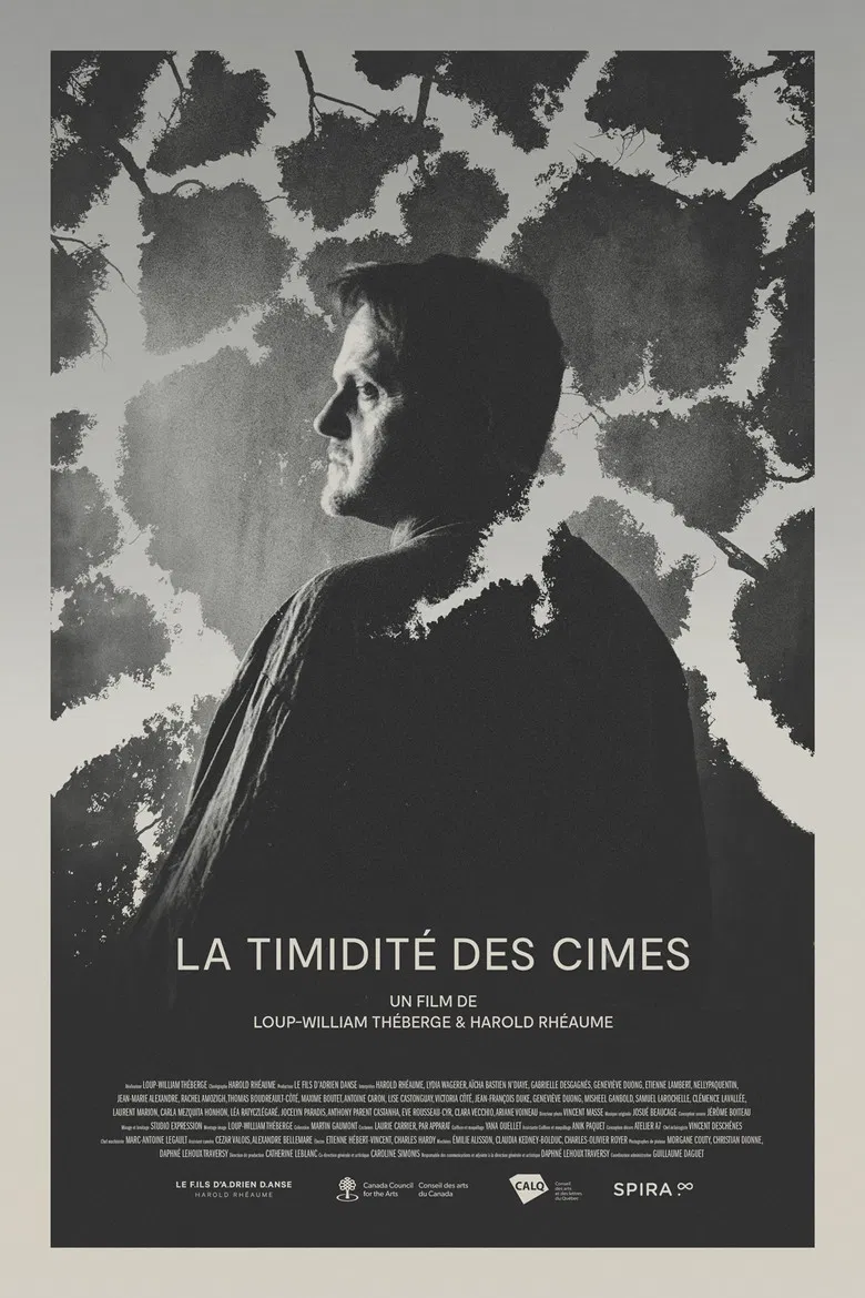 La Timidité des Cimes poster background