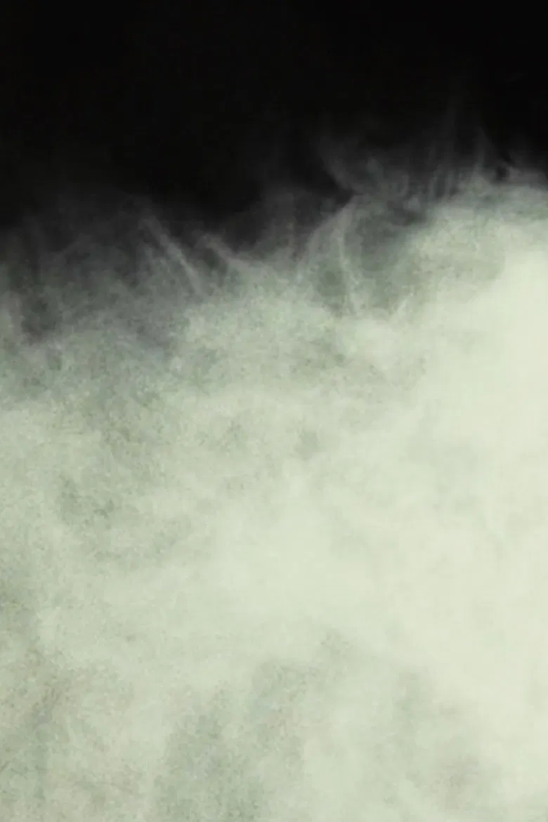 An Example of Lee-Roth Fog, Isolated Under Laboratory Conditions poster background