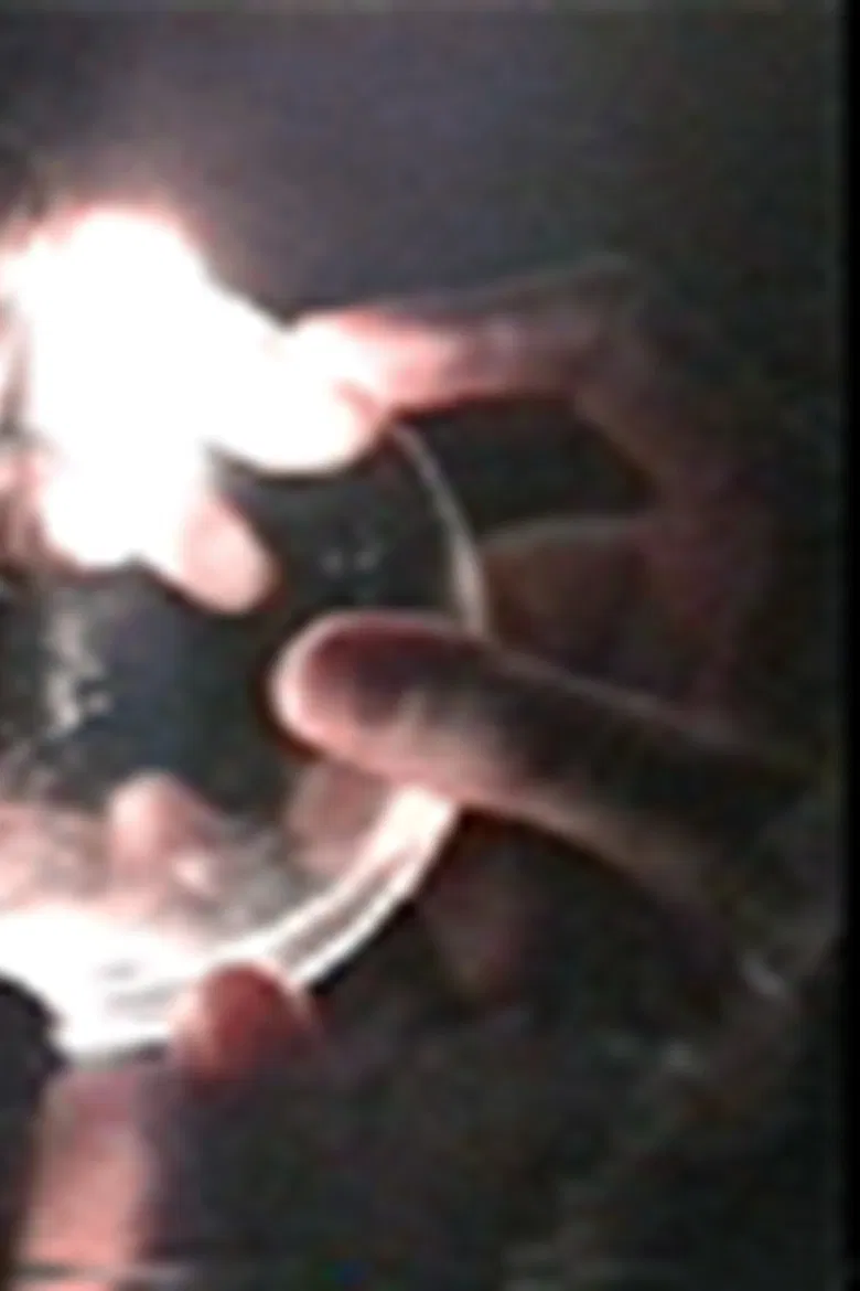 Subverted Horseplay poster background