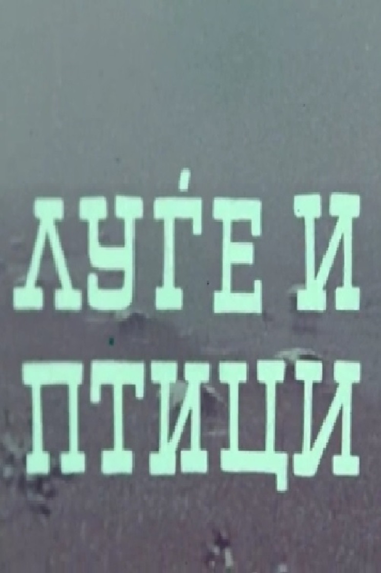 People and Birds poster background