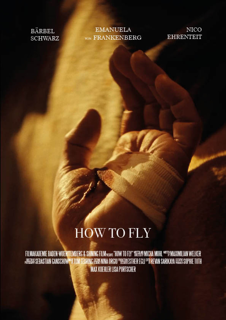 How to Fly poster background