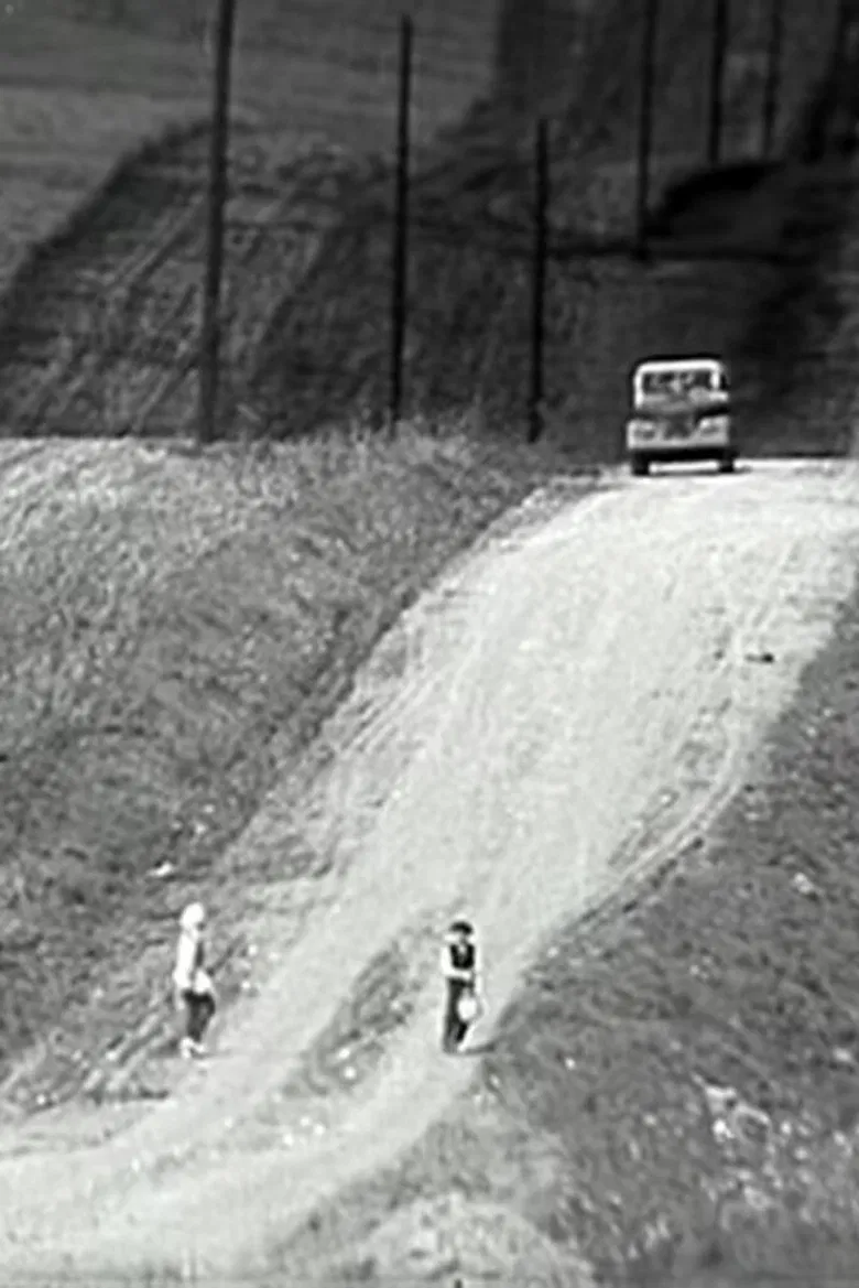 Eine Sommerreise poster background