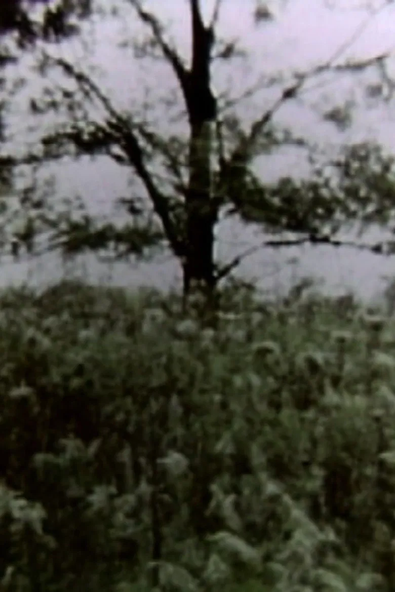 Leviathan poster background