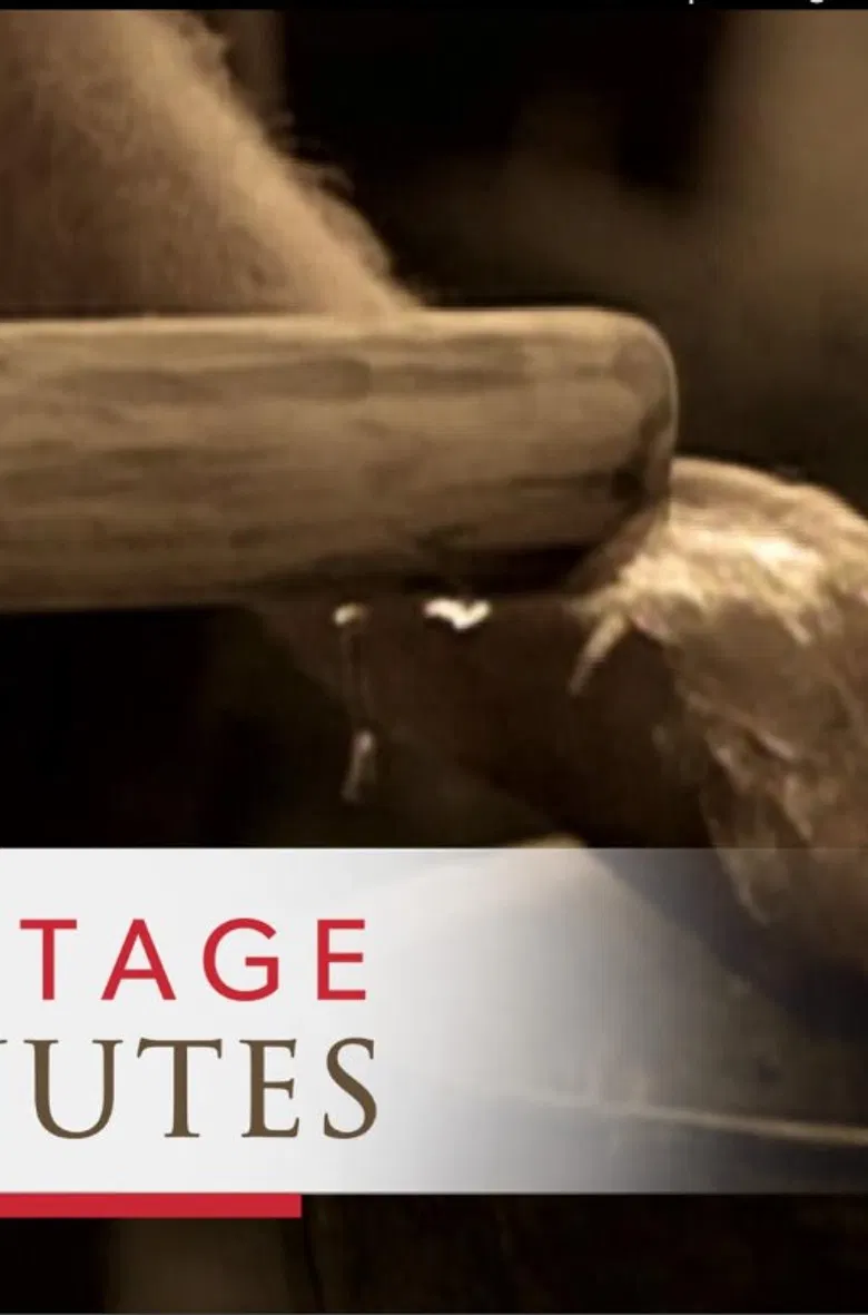 Heritage Minutes: Water Pump poster background