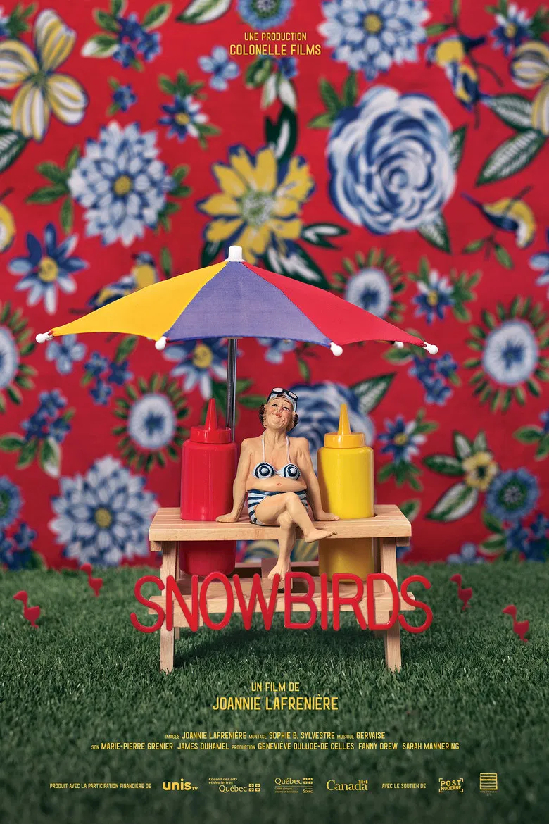 Snowbirds poster background