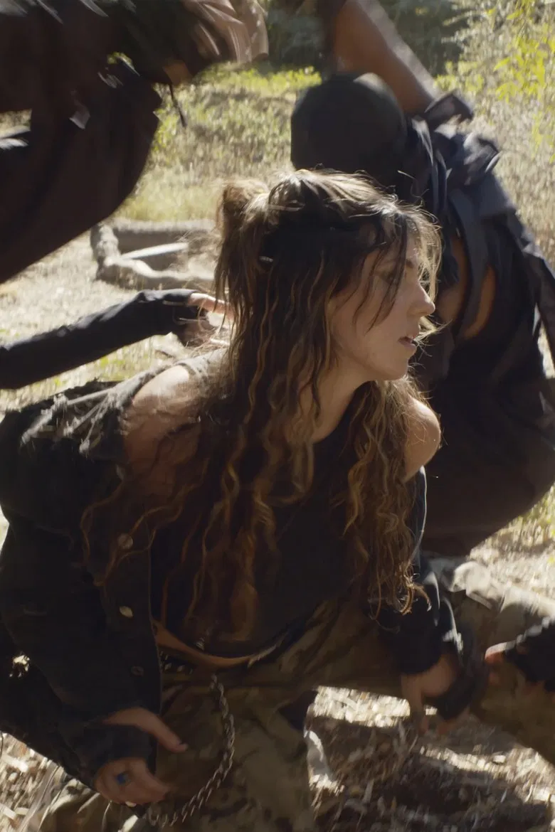 WOODS poster background