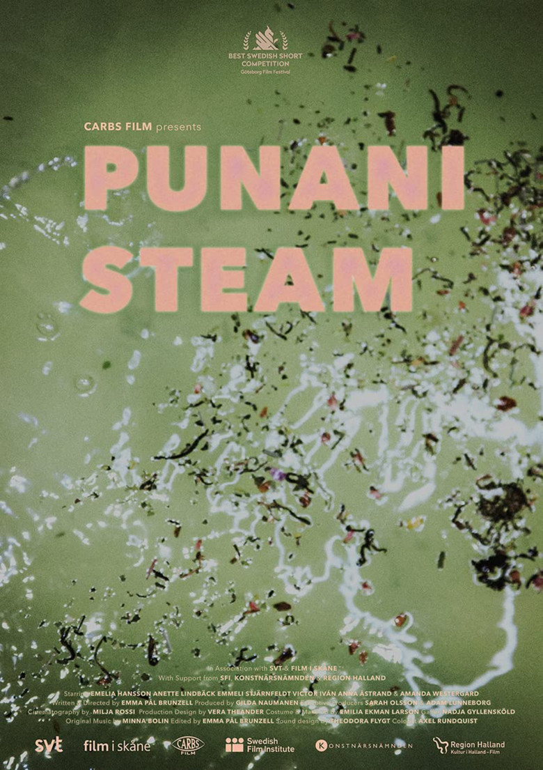 Punani Steam poster background