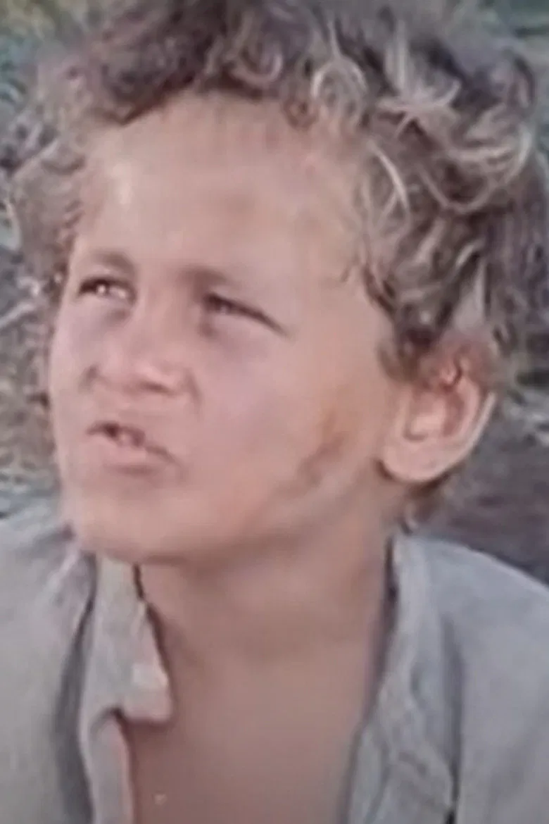 François le Champi poster background