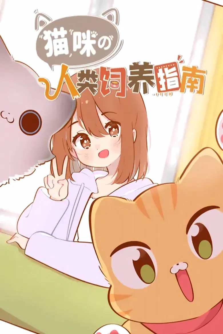 猫咪的人类饲养指南 动态漫 poster background