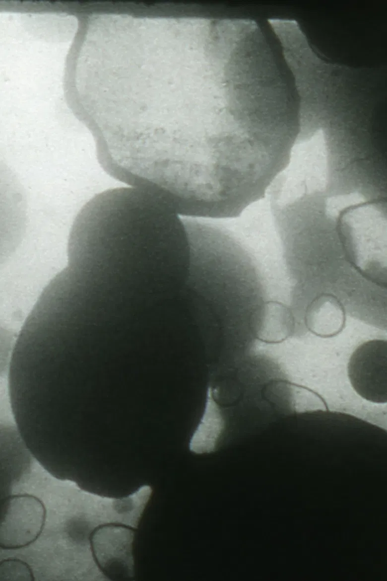 If Only poster background