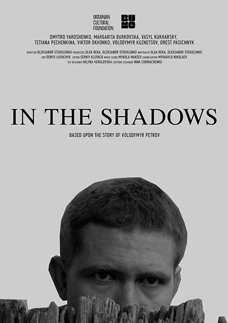 In the Shadows poster background