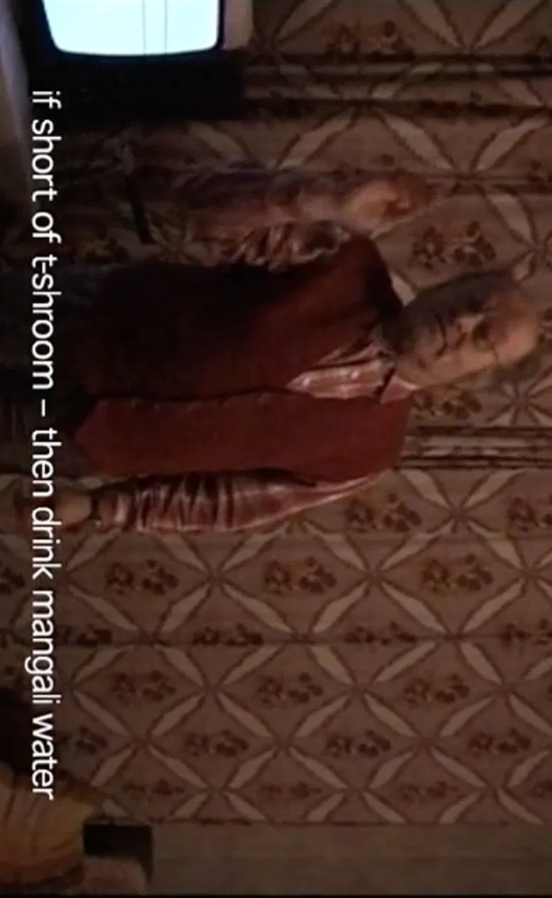 The T-shroom poster background