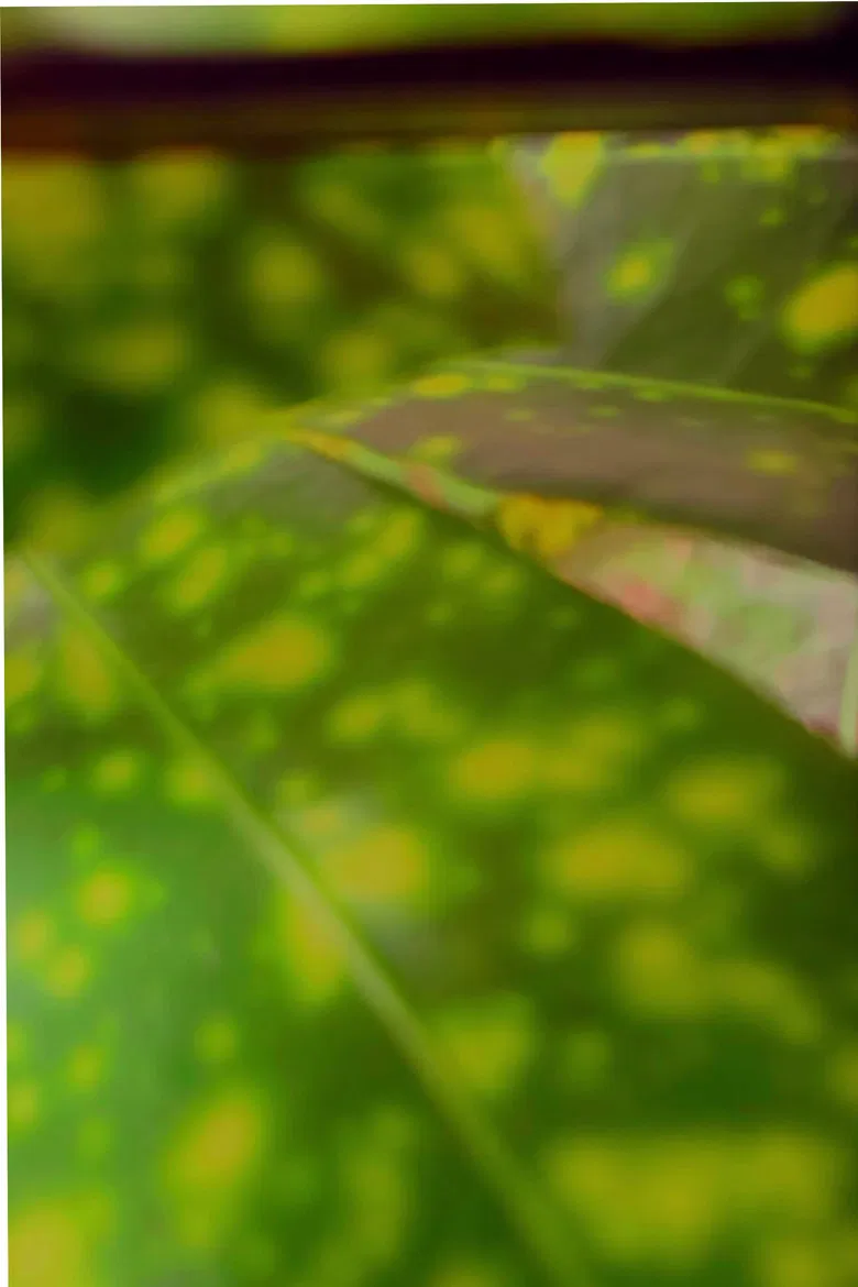 recuerdos de rio verde poster background