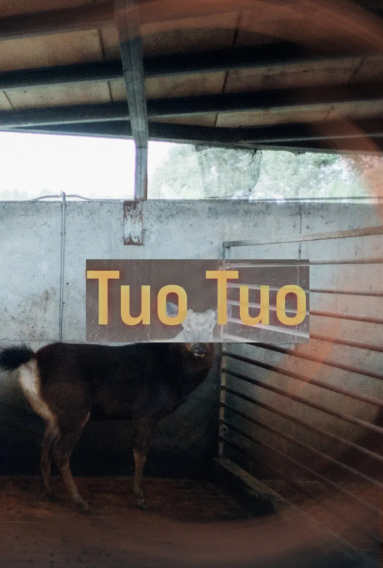 Tuo Tuo poster background