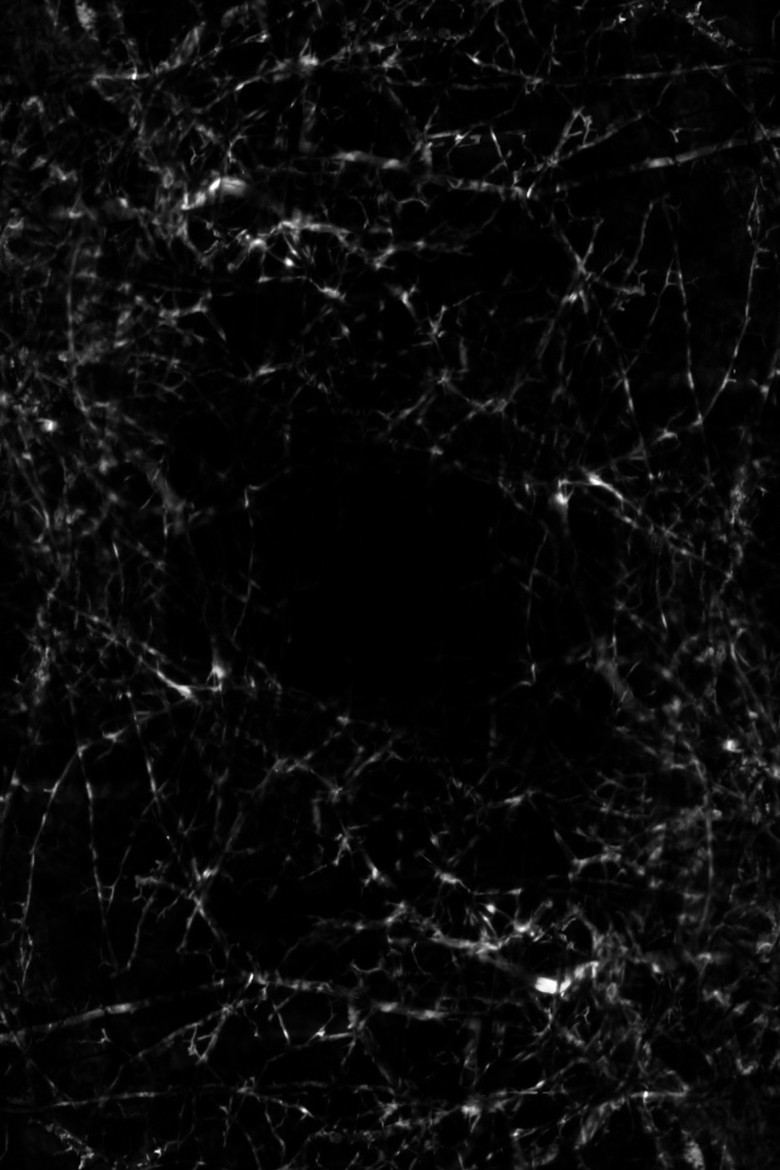 Mantle of Dusk poster background