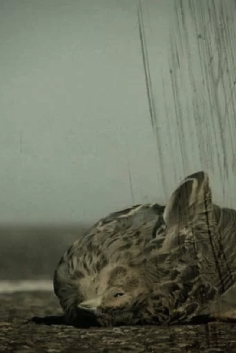 Ángel caído poster background