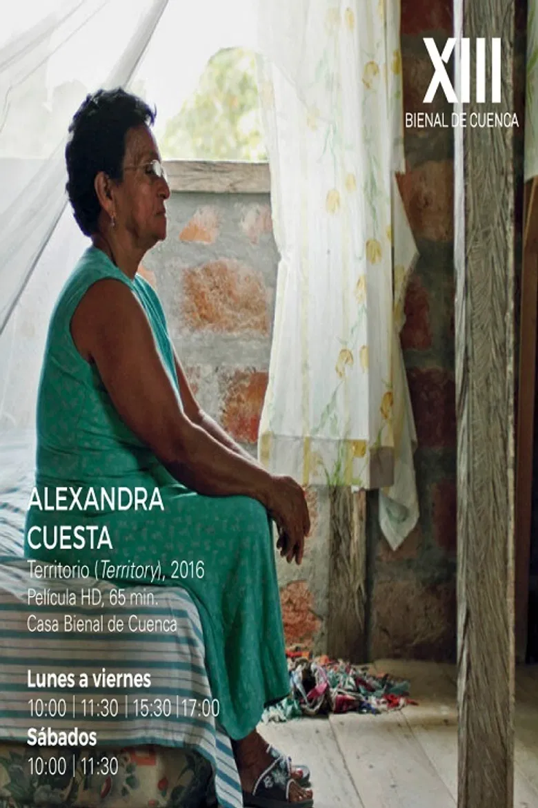 Territorio poster background