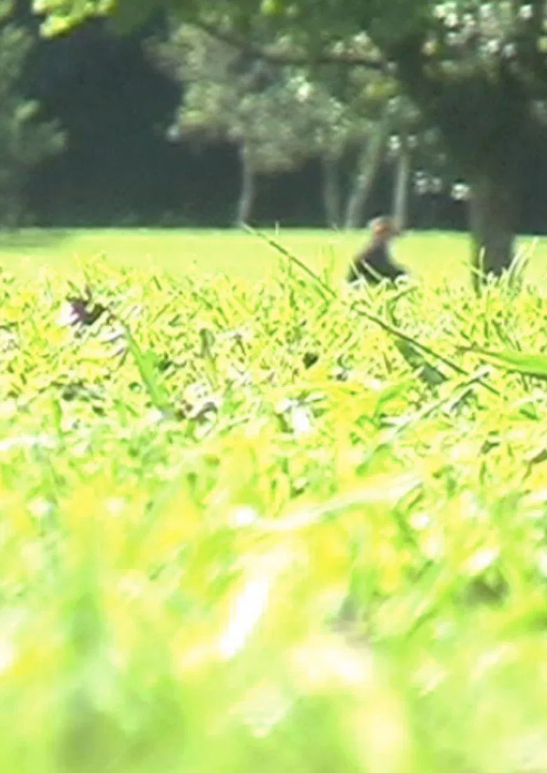 Body of Crime poster background