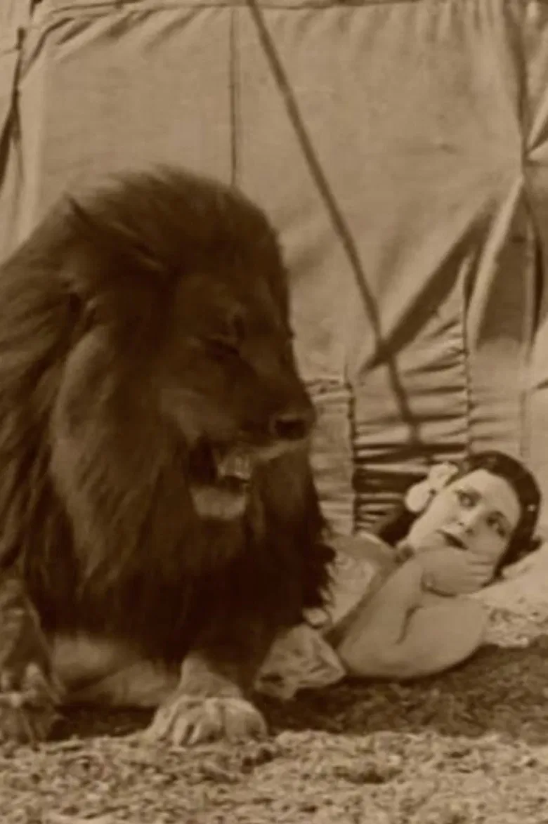 Circus Today poster background